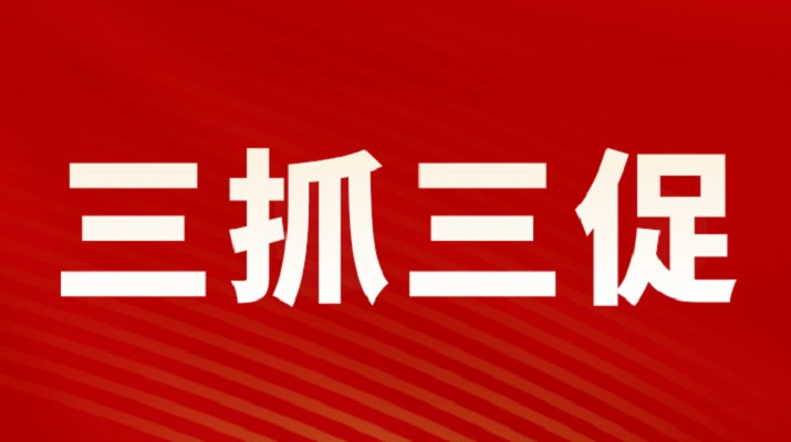 三抓三促进行时丨kaiyun开云(中国入口)·官方网站集团召开重点项目调度会